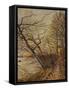 Le Bois Des Roches, Veneux-Nadon, 1880-Alfred Sisley-Framed Stretched Canvas