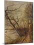 Le Bois Des Roches, Veneux-Nadon, 1880-Alfred Sisley-Mounted Giclee Print