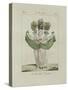 Le Bon Genre: Observations About the Parisian Fashion and Customs-Pierre Antoine Leboux De La Mesangere-Stretched Canvas