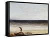 Le bord de mer à Palavas-Gustave Courbet-Framed Stretched Canvas