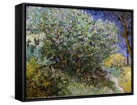 Le buisson de lilas-Vincent van Gogh-Framed Stretched Canvas