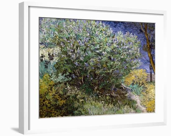 Le buisson de lilas-Vincent van Gogh-Framed Giclee Print