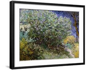 Le buisson de lilas-Vincent van Gogh-Framed Giclee Print