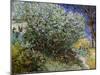 Le buisson de lilas-Vincent van Gogh-Mounted Giclee Print