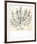 Le Buisson-Henri Matisse-Framed Art Print