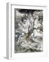 Le ch? et le roseau-Gustave Moreau-Framed Giclee Print