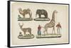 Le chameau, l'éléphant, le daim, la girafe-null-Framed Stretched Canvas