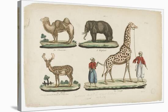 Le chameau, l'éléphant, le daim, la girafe-null-Stretched Canvas