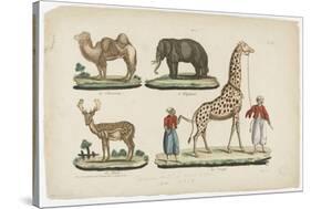 Le chameau, l'éléphant, le daim, la girafe-null-Stretched Canvas