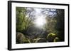 Le Chaos De Huelgoat En Breatgne-Philippe Manguin-Framed Photographic Print