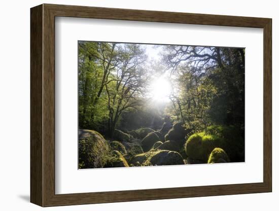 Le Chaos De Huelgoat En Breatgne-Philippe Manguin-Framed Photographic Print