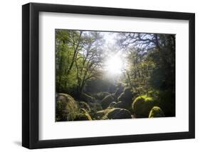 Le Chaos De Huelgoat En Breatgne-Philippe Manguin-Framed Photographic Print