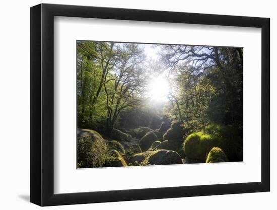 Le Chaos De Huelgoat En Breatgne-Philippe Manguin-Framed Photographic Print