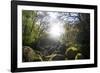 Le Chaos De Huelgoat En Breatgne-Philippe Manguin-Framed Photographic Print