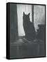 Le Chat, C.1920-Christopher Richard Wynne Nevinson-Framed Stretched Canvas