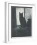 Le Chat, C.1920-Christopher Richard Wynne Nevinson-Framed Giclee Print