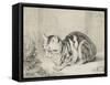 Le chat couché-null-Framed Stretched Canvas