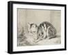 Le chat couché-null-Framed Giclee Print