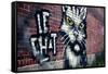 Le Chat Graffiti Montreal Canada-null-Framed Stretched Canvas
