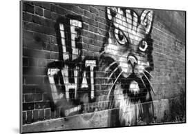 Le Chat Graffiti-null-Mounted Poster