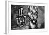 Le Chat Graffiti-null-Framed Photo