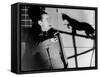 Le Chat Noir, 1934-null-Framed Stretched Canvas