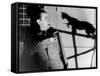 Le Chat Noir, 1934-null-Framed Stretched Canvas