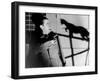 Le Chat Noir, 1934-null-Framed Photographic Print