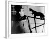 Le Chat Noir, 1934-null-Framed Photographic Print