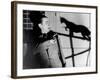 Le Chat Noir, 1934-null-Framed Photographic Print