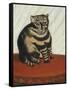 Le Chat Tigre-Henri Rousseau-Framed Stretched Canvas