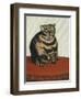 Le Chat Tigre-Henri Rousseau-Framed Giclee Print