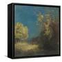 Le chemin à Peyrelebade-Odilon Redon-Framed Stretched Canvas