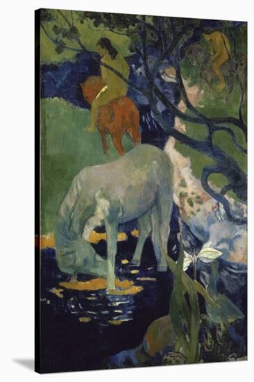 Le Cheval Blanc-Paul Gauguin-Stretched Canvas