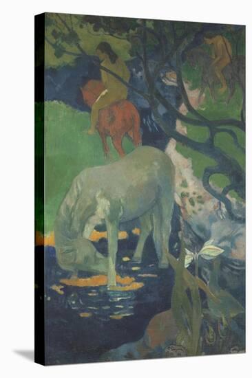 Le Cheval blanc-Paul Gauguin-Stretched Canvas