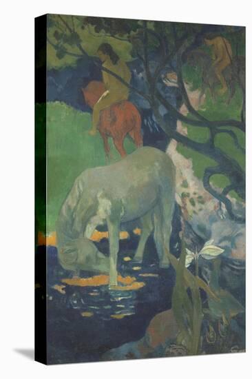 Le Cheval blanc-Paul Gauguin-Stretched Canvas