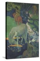 Le Cheval blanc-Paul Gauguin-Stretched Canvas