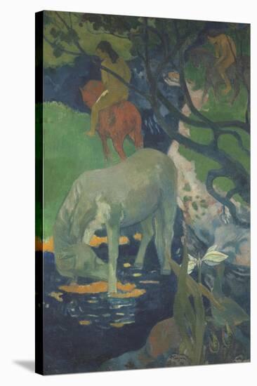 Le Cheval blanc-Paul Gauguin-Stretched Canvas