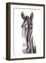 Le Cheval Noir-Aimee Del Valle-Framed Art Print