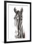 Le Cheval Noir-Aimee Del Valle-Framed Art Print