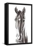 Le Cheval Noir-Aimee Del Valle-Framed Stretched Canvas