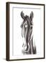 Le Cheval Noir-Aimee Del Valle-Framed Art Print