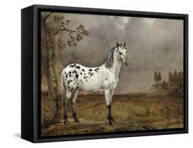 Le Cheval pie-Paulus Potter-Framed Stretched Canvas