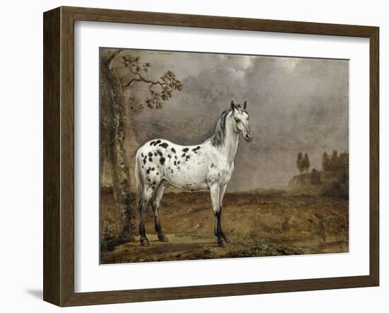 Le Cheval pie-Paulus Potter-Framed Giclee Print