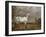 Le Cheval pie-Paulus Potter-Framed Giclee Print