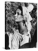 Le Chevalier des Sables THE SANDPIPER by Vincente Minnelli with Elizabeth Taylor, 1965 (b/w photo)-null-Stretched Canvas