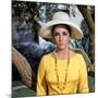 Le Chevalier des Sables THE SANDPIPER by Vincente Minnelli with Elizabeth Taylor, 1965 (photo)-null-Mounted Photo
