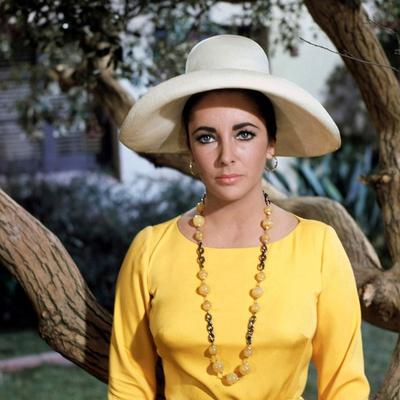 https://imgc.allpostersimages.com/img/posters/le-chevalier-des-sables-the-sandpiper-by-vincente-minnelli-with-elizabeth-taylor-1965-photo_u-L-Q1C1VUY0.jpg?artPerspective=n