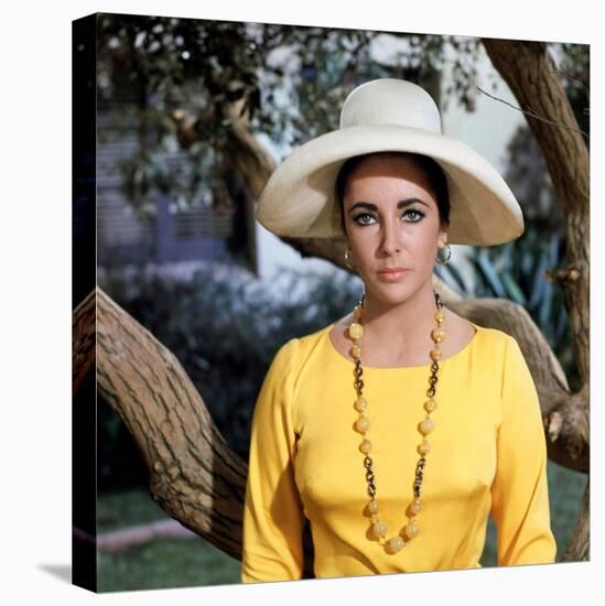 Le Chevalier des Sables THE SANDPIPER by Vincente Minnelli with Elizabeth Taylor, 1965 (photo)-null-Stretched Canvas