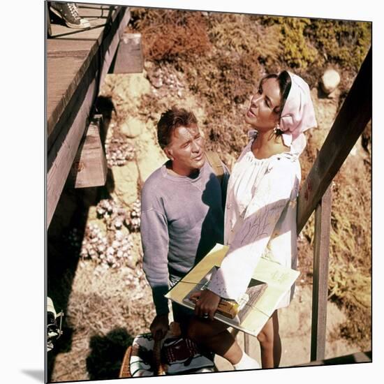 Le Chevalier des Sables THE SANDPIPER by Vincente Minnelli with Richard Burton and Elizabeth Taylor-null-Mounted Photo